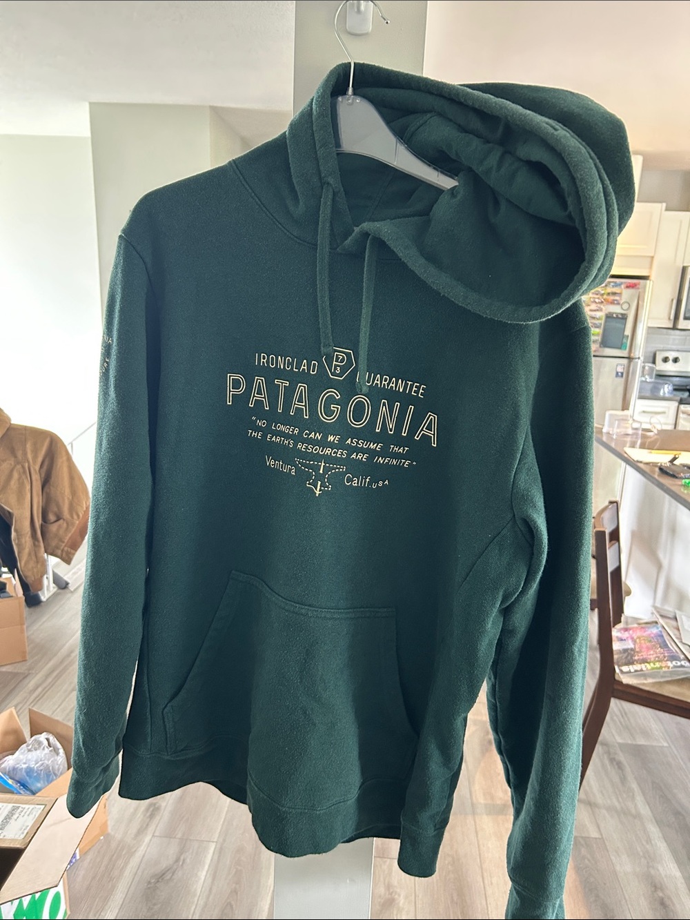 Patagonia Men's Dark Green Zip-Up Fleece Hoodie